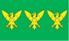 Caernarfonshire Flags